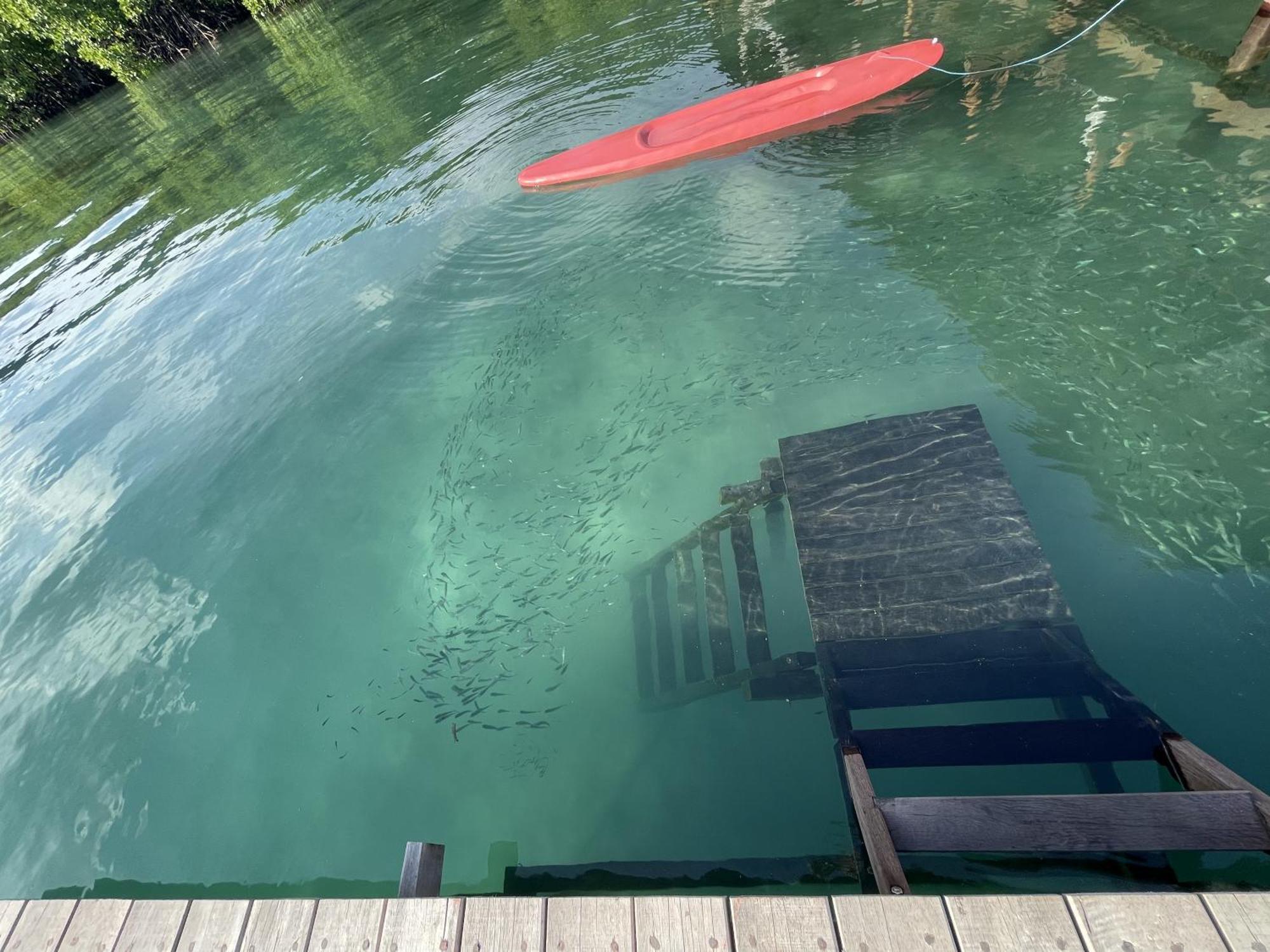 Floating Paradise Karimunjawa Kültér fotó